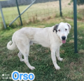 ORSO